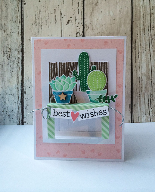 Cacti Wishes!